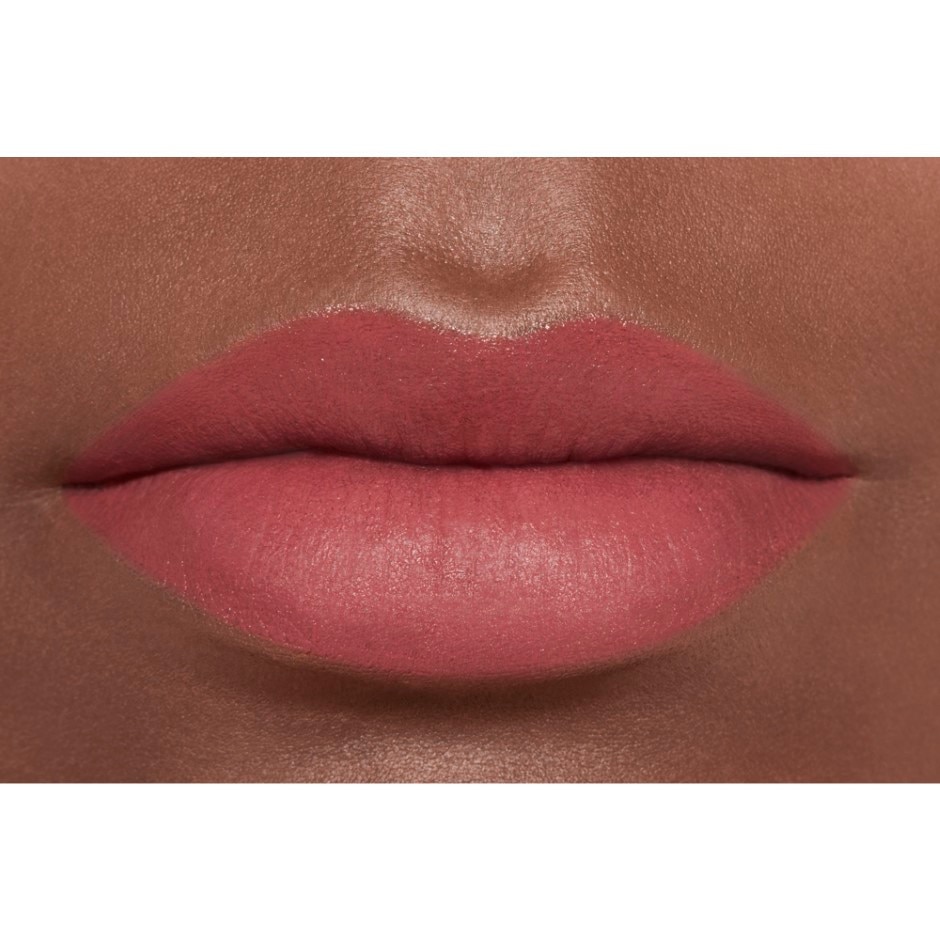 LA BARRA DE LABIOS ATERCIOPELADA LUMINOSA